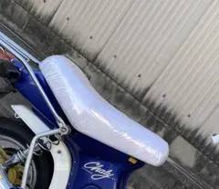 2025年最新】角目シャリー シートの人気アイテム - メルカリ