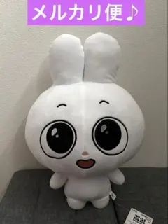 Kkamung&Angto めちゃもふぐっとぬいぐるみ - メルカリ