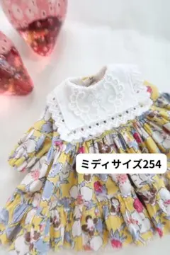 ミディサイズ　254＊リバティ襟付きワンピース＊　ブライスアウトフィット