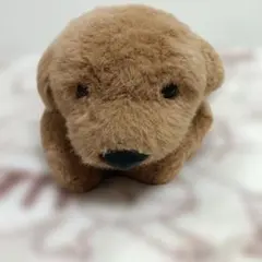 【絶版希少‼️】サンレモン　ミニチュアダックス　S サイズ　生産終了BRカラー 絶版希少‼️】サンレモン ミニチュアダックス S サイズ 生産終了BR