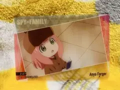 SPY×FAMILY スパイファミリー クリアカード(2)