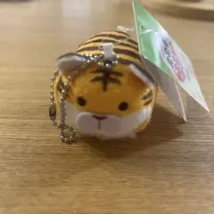 Item thumbnail for item 0dd8c0b5-c3ca-434f-9e0f-b4b756a6e721