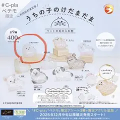 うちの子のけだまだま　ポメラニアン　犬