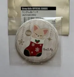 stray kids ポップアップ ランダム 缶バッジ フォクシニー  アイエン