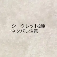 ヴァンねねくじE賞 缶バッチ シークレット - メルカリ