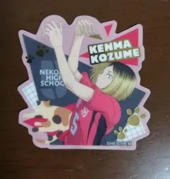 ハイキュー!! ダイカットステッカービスケット 孤爪研磨【24時間以内発送】