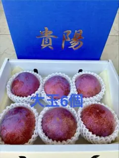 山梨県産　大玉　貴陽　すもも　化粧箱6玉入り（約1.8kg）のサムネイル