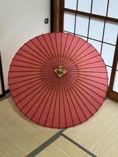 蛇の目傘 番傘 絹 シルク 助六 緑 和傘 傘 二段継 舞踊 演劇 着物 撮影