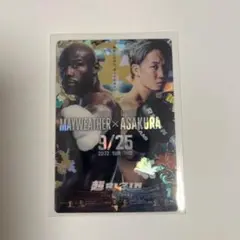 RIZINポテトスティック/No16/超RIZIN