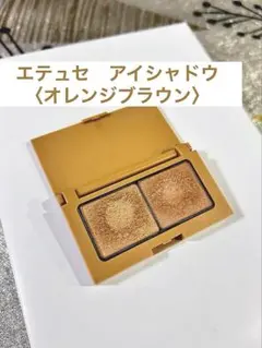 エテュセ アイエディション カラーパレット 04 オレンジブラウン