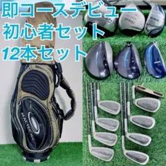 即コースデビュー！ テーラーメイド入り ゴルフクラブ フルセット