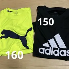 PUMA 蛍光イエロー Tシャツ & adidas 黒 Tシャツ セット