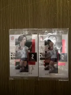 バレーボール女子日本代表 フォトカード 2点セット