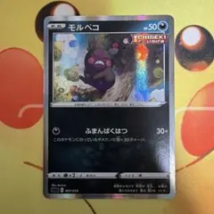 モルペコ SGG ハイクラスデッキ
