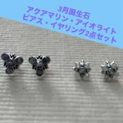 【数量限定】3月誕生石アクアマリン&アイオライトピアスイヤリング2点セット