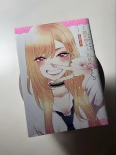 その着せ替え人形は恋をする