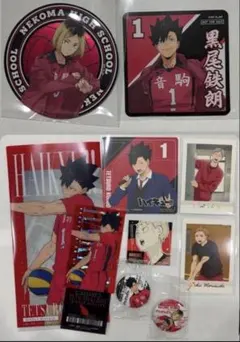 ハイキュー!!　音駒高校　9点セット＋おまけ　黒尾　孤爪　夜久　リエーフ