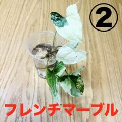 きなこ＠発送早いです様 リクエスト 5点 まとめ商品