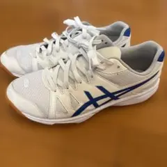 値下げ　アシックス　ASICS 体育館シューズ　28cm