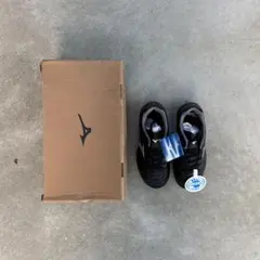 Item thumbnail for item 531ede77-2fa8-4f27-8981-b58afd7cfba9