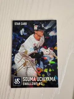 カルビー プロ野球チップス ヤクルト 内山壮真 金箔サイン付きスターカード