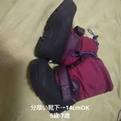 Item thumbnail for item 71748356-bc3c-4110-807f-89265266fdcc