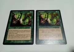 MTG 木の実拾い 2枚　マジック・ザ・ギャザリング