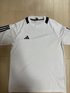 Item thumbnail for item 4336b447-a8aa-49fd-8c91-92f727a1658c