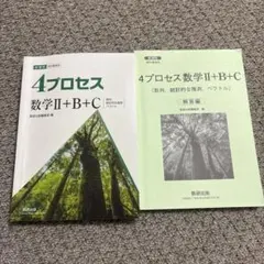 4プロセス 数学Ⅱ+B+C 解答編付き