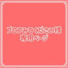 プロフみてください様 リクエスト 2点 まとめ商品 200円割引