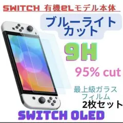 Switch用ガラスフィルム強化ガラス保護フィルム2枚ブルーライトカット9H