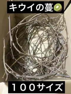 Item thumbnail for item 38d7e6d9-91ff-48ea-9469-654aa735079c