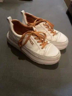 Item thumbnail for item 6313681c-7364-4628-b158-f526bd46ff3f