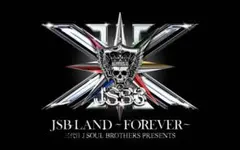 J.S.B. 様専用 J.S.B. MA-1 10th Anniversary