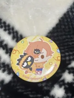 日常組 ぺいんと 缶バッジ アニメイト 等身 60個 日常組 ぺいんと 缶バッジ アニメイト - メルカリ