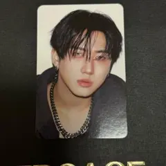 straykids スキズ karma skzoo ver チャンビン トレカ