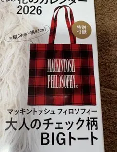 LEE付録MACKINTOSH PHILOSOPHY大人のチェック柄トートバック