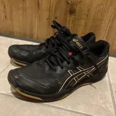 ROTE JAPAN LYTE FF 3 asics バレーボール