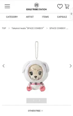 2025年最新】岩田剛典ぬいぐるみの人気アイテム - メルカリ