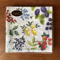 Item thumbnail for item ac8d5fe8-13d9-41a9-a889-22bf19a76132