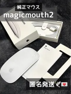 Apple Magic Mouse 2 本体