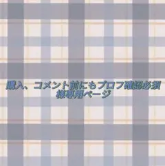 購入、コメント前にもプロフ確認必須様専用ページ