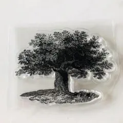 Item thumbnail for item 6be65cff-01b9-4305-9fd2-90ce61c5da9d