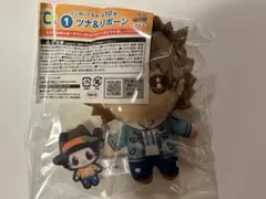 家庭教師ヒットマンREBORN リボーン ひこくじ C賞 ツナ&リボーン