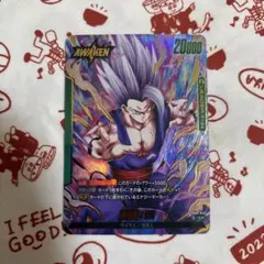 追跡即日発送 デュアルエボリューション L☆ リーダーパラレル 孫悟飯 SH