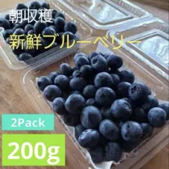 生ブルーベリ　樹上完熟　200g超　無農薬　除草剤不使用　ブルーベリー　新鮮のサムネイル