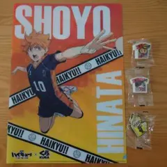 ハイキュー!!　クリアファイル・消しゴム・ラバーマスコット　ビッくらポン