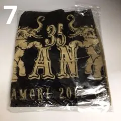 中森明菜AKINANAKAMORILIVE2026タオルコットン100新品 - メルカリ