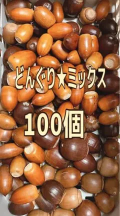 どんぐり★ミックス100個