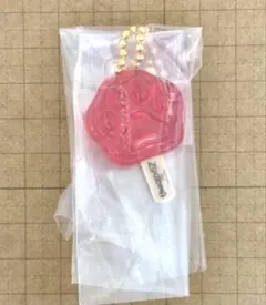 ズートピア　アイスキャンディチャームのサムネイル
